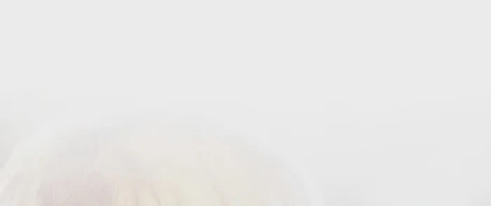 Barbarian Quest Chapter 85 page 19