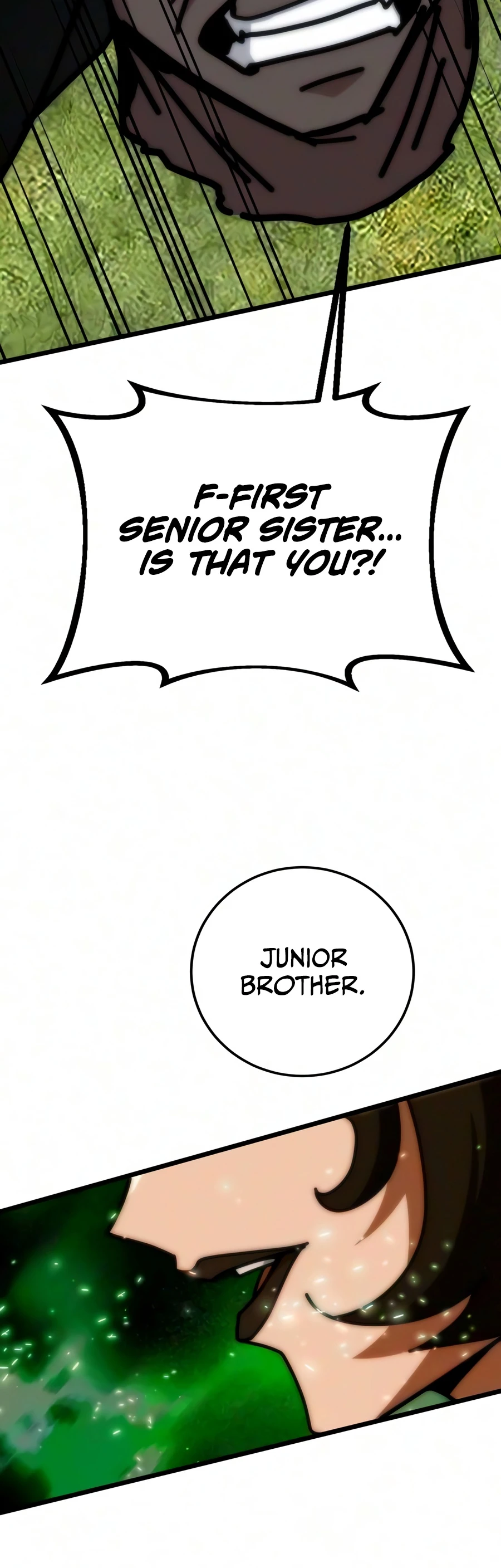 Initializing the Sect System Chapter 46 page 25