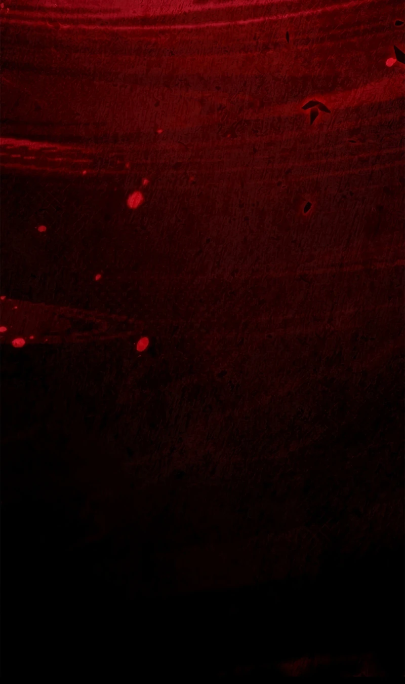 Regressor Instruction Manual Chapter 175 page 14
