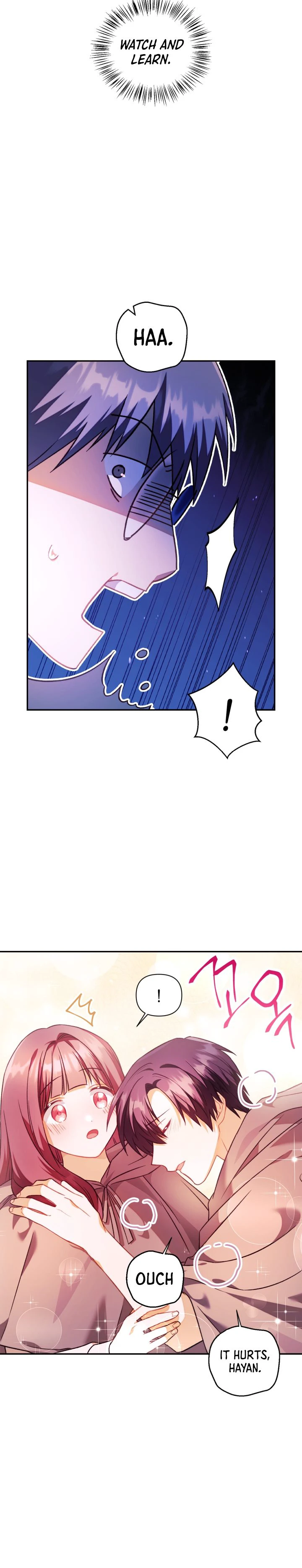 Regressor Instruction Manual Chapter 23 page 3