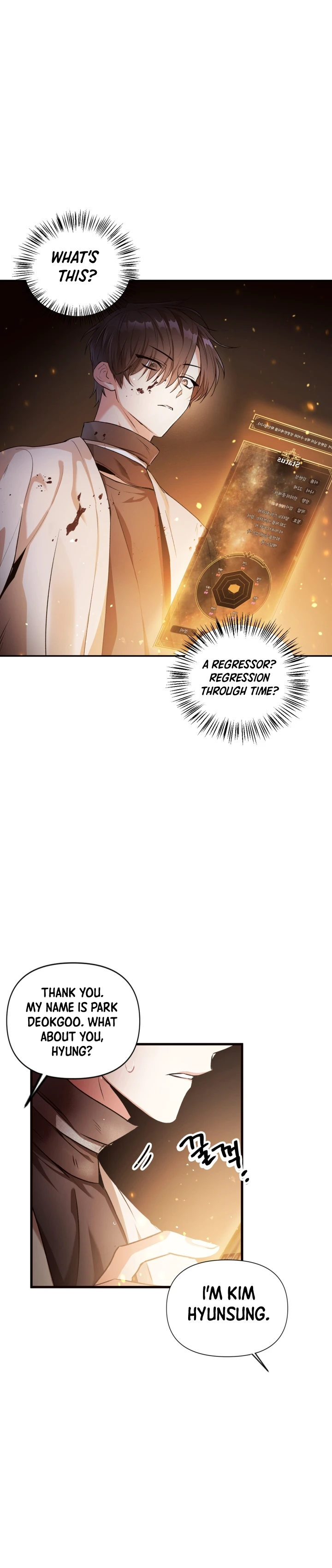 Regressor Instruction Manual Chapter 3 page 7