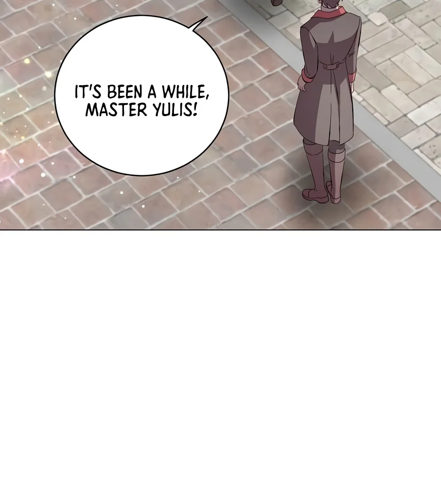 The Max Level Hero has Returned! Chapter 247 page 8