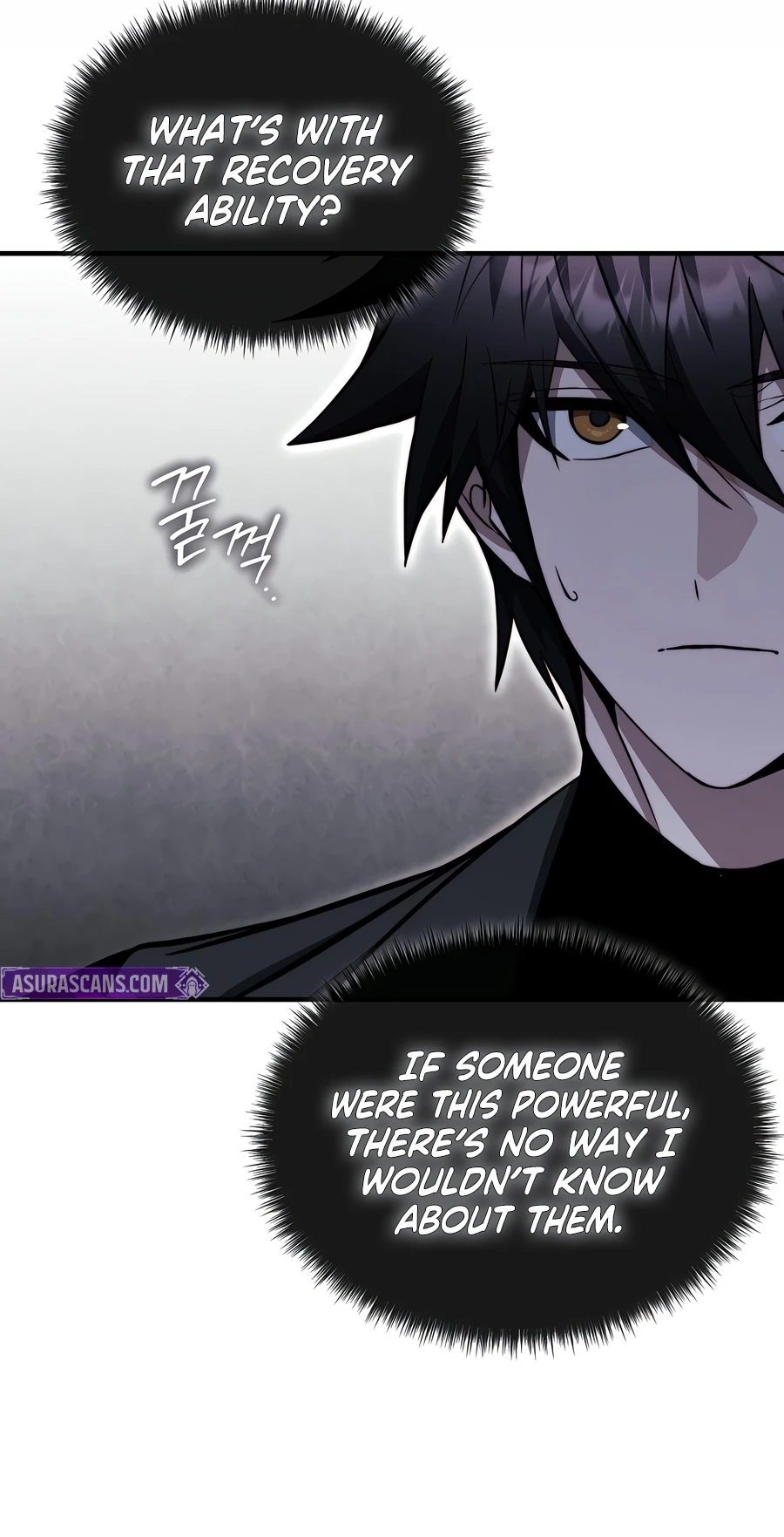 The Regressor Can Make Them All Chapter 35 page 14